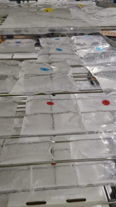 bolsas-gel-1-768x1366